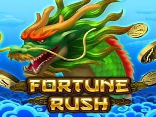 Fortune Rush cover image